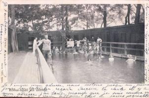 Budapest Római fürdő uszoda (EB)