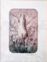 Hertay Mária (1932-): Tulipán. Színes rézkarc, papír, jelzett, paszpartuban, 15x10 cm