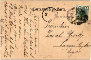 Zatec, Saaz; Saazer Bezik Hopfen, flying gentleman collage (EK)