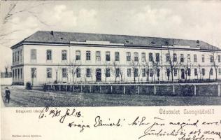 Csongrád School