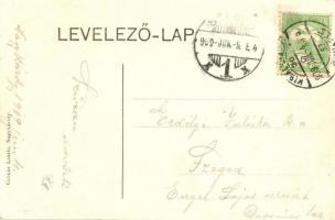 Nagykároly, Református iskola és templom. Csókás László kiadása / church, school (apró tűnyom / pinh...