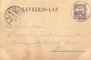 Buziás, Gyógyterem, Sóhaj-fasor, Herrling Károly kiadása / spa, floral