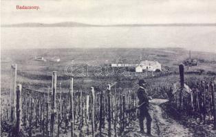 Badacsony