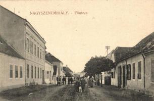 Nagyszentmihály, Grosspetersdorf; Fő utca, Mayer Károly kereskedése / main street, shop