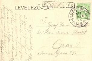 Nagyszentmihály, Grosspetersdorf; Fő utca, Mayer Károly kereskedése / main street, shop