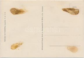 18 db régi Zeppelin léghajós képeslap és fotó vegyes állapotban; érdekes anyag / 18 pre-1945 Luftsch...