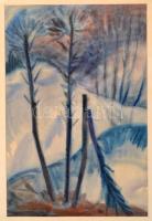 Páll Lajos (1938-2012): Téli táj. Akvarell, papír, jelzett, üvegezett keretben, 46×31 cm