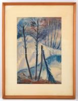 Páll Lajos (1938-2012): Téli táj. Akvarell, papír, jelzett, üvegezett keretben, 46×31 cm