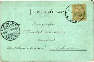 Miskolc, Hámori tó, Art Nouveau, Gedeon A. litho (EK)