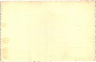 Zombor, Kastély / villa, photo