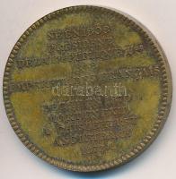 Franciaország ~1900. "III. Napóleon" peremén jelzett Br emlékérem "Francia Királyok s...