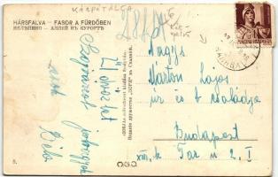 Szolyva-Hársfalva, Nelipino; Fasor a fürdőben / spa alley