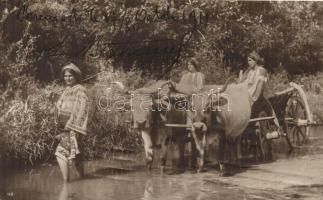 1911 Romanian folklore, women with oxen cart, photo