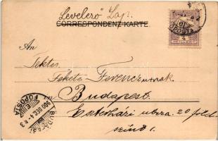 Fleur de chemin IV. Verlag Back & Schmitt, Wien. Serie No. 1030 s: Raphael Kirchner