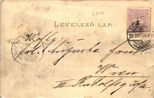 1898 Debrecen, Törvényszéki palota, Csokonai szobor, Királyi tábla, zsinagóga, templom, főreáliskola...