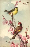 C. Klein - 2 db művészi képeslap, madarak, pipacsok / 2 art postcards