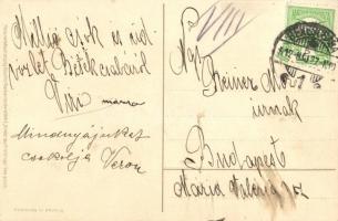 C. Klein - 2 db művészi képeslap, madarak, pipacsok / 2 art postcards