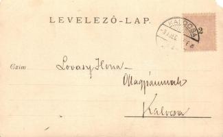 1899  Kalocsa, Fakutyázás télen, photo (EM)