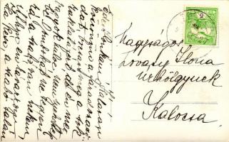 1912 Öregcsertő, ménes, photo