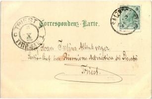 Salzburg 'Gruss aus...' floral litho