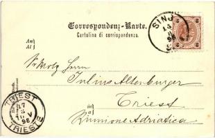 1898  Sinj, Látkép a várral / castle