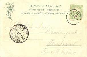 Tátra, Zöld-tó völgy, Feitzinger Ede No. 513. 1908/12