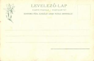 Ótátrafüred, Bad Alt-Schmecks; 318. Feitzinger Ede 1903/18