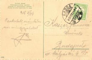 Kassa, Kosice; Schalkház nagyszálloda, villamos / hotel, tram