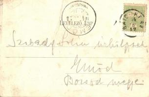 Bátorkeszi, Bátorove Kesy; Anyakönyvvezető hivatal, óvoda; Holländer J. kiadása / registrar's o...