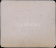 cca 1900 Erdély, Hunyad-Vaskapu vaútállomás sínautóval / cca 1900 Transylvania Hunyad-Vaskapu railwa...