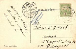 Kisjenő, Chisineu-Cris; Fehér-körös híd, Messzer Lipót kiadása / bridge