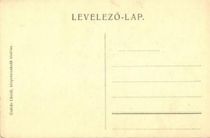 Nagykároly, Carei; Kossuth szobor, kiadja Csókás László / statue