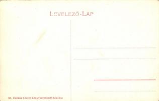 Nagykároly, Carei; Széchenyi utca, Csókás László kiadáa / street