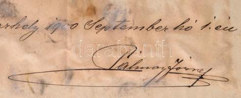 1900 Pálmay József, főleg Erdéllyel foglalkozó heraldikus, genealógus festett fotója, hátoldalán a m...