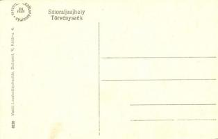 Sátoraljaújhely, Törvényszék