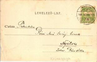 Nagykároly, Carei; látkép, zsinagóga, kiadja Csókás László / synagouge (EB)