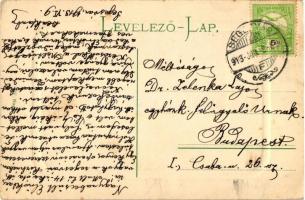 Segesvár, Petőfi szobor, kiadja W. Nagy / statue (fl)