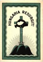 Hungaria Resurgit! kiadja a Magyar Nemzeti Szövetség / irredenta art postcard