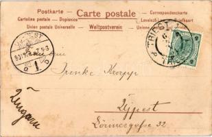 Femmes Modernes, Art Nouveau litho