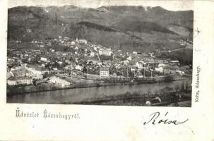 1899 Rózsahegy, Ruzomberok; kiadja Kohn (fa)