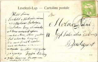 A Pannonia kivándorló hajó, kiadó Linenberger J. kivándorlási szálloda / immigration ship