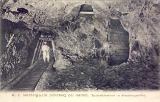 Dürnberg Salt-mine