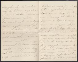 1882 Szél Piroska (1865-1886), Arany János unokájának levele apjának, Szél Kálmán nagyszalontai espe...