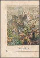 Hunfalvy János: Úti és vadászati kalandok. Öt színezett képpel. Pest, 1857. Lauffer és Stolp. 192p. ...
