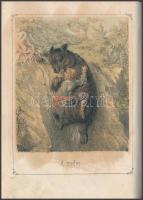 Hunfalvy János: Úti és vadászati kalandok. Öt színezett képpel. Pest, 1857. Lauffer és Stolp. 192p. ...