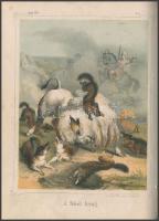 Hunfalvy János: Úti és vadászati kalandok. Öt színezett képpel. Pest, 1857. Lauffer és Stolp. 192p. ...