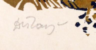 Diskay Lenke (1924-1980): Ex libris Dr. Barabás Pány Éva. Színes fametszet, papír, jelzett, 11×14 cm