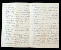 Hegedüs Sándor (1847-1906) közgazdász, későbbi miniszter, a Magyar Tudományos Akadémia tagja kézzel ...