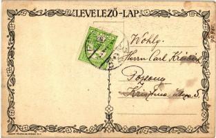 A Magyari Iskola Egyesület tájképes levelezőlapja s: Várady István