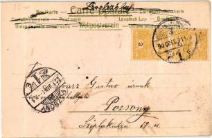 Újév / New Year, chimney sweeps